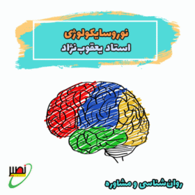پکیج کامل نوروسایکولوژی (آموزش جامع + نکته و تست) کنکور ۱۴۰۶